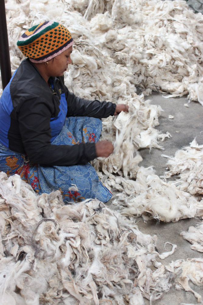 Handgeknoopte Nepalese tapijten - schapenwol sorteren